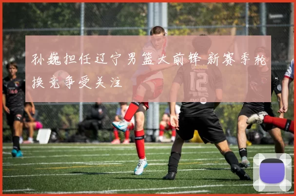 孙巍担任辽宁男篮大前锋 新赛季轮换竞争受关注