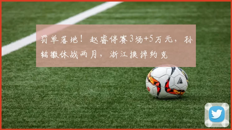 罚单落地!赵睿停赛3场+5万元,孙铭徽休战两月,浙江换掉约克
