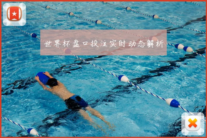 世界杯盘口投注实时动态解析