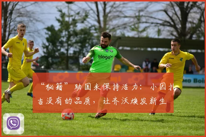 “秘籍”助国米保持活力:小因扎吉没有的品质,让齐沃焕发新生