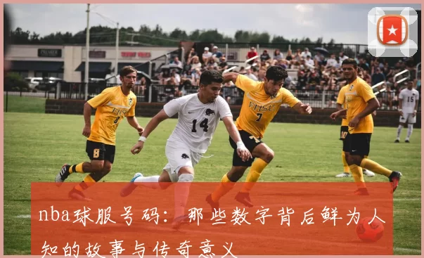 nba球服号码:那些数字背后鲜为人知的故事与传奇意义