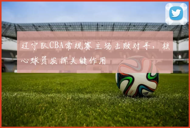 辽宁队CBA常规赛主场击败对手，核心球员发挥关键作用