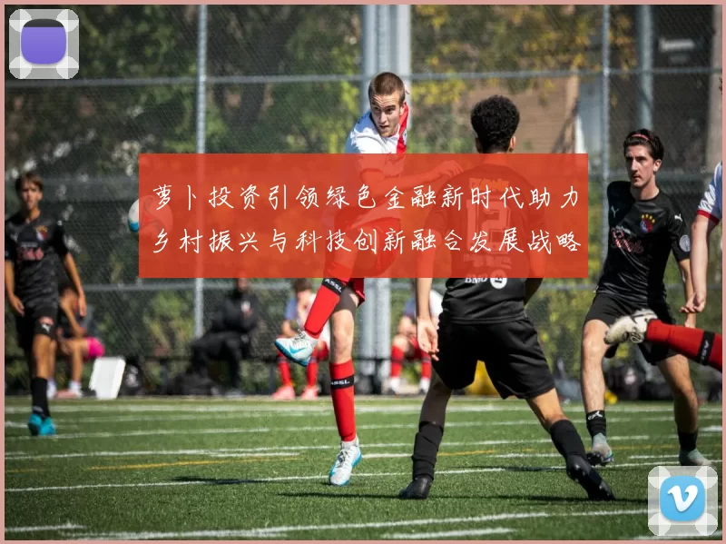 萝卜投资引领绿色金融新时代助力乡村振兴与科技创新融合发展战略