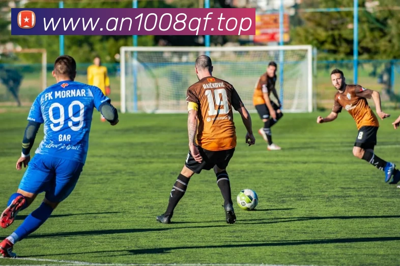 Kaiyun - 中国(官方网站) - 国家认证服务平台发展历程